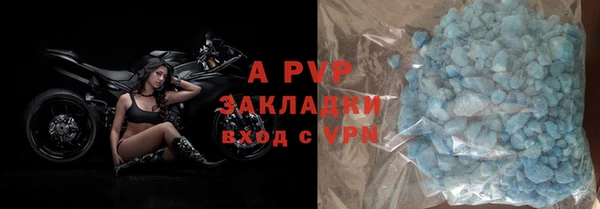 сатива Белокуриха