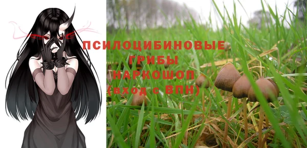 сатива Белокуриха