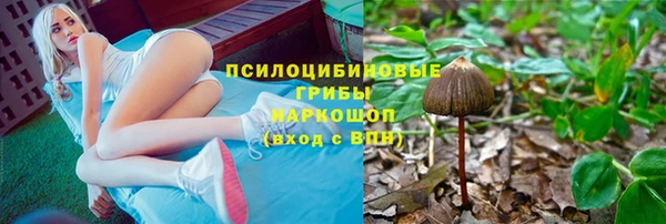 сатива Белокуриха