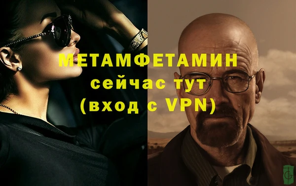 сатива Белокуриха